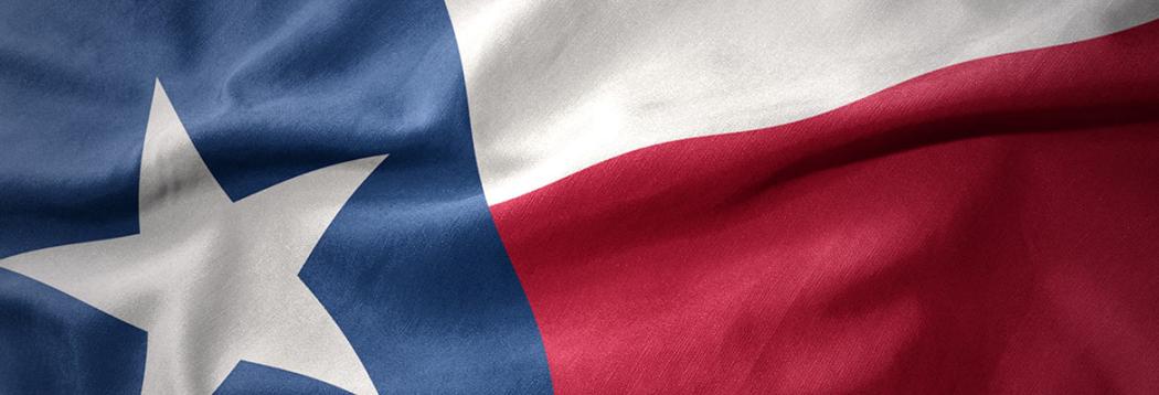 Texas Flag